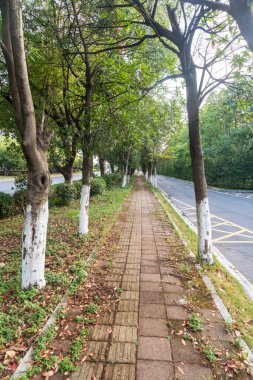 Modern şehirde yürüyüş yolu