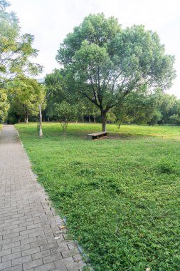 Çin 'deki Şehir Parkı yolu.