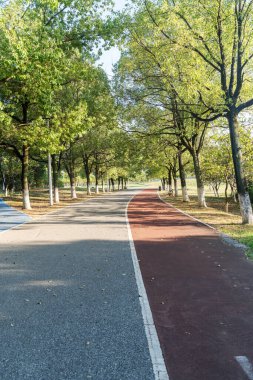 Yeni patika ve güzel ağaçlar parkta koşmak, yürümek ve bisiklete binmek için iz sürüyor. 