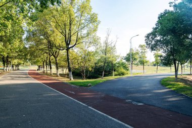 Yeni patika ve güzel ağaçlar parkta koşmak, yürümek ve bisiklete binmek için iz sürüyor. 