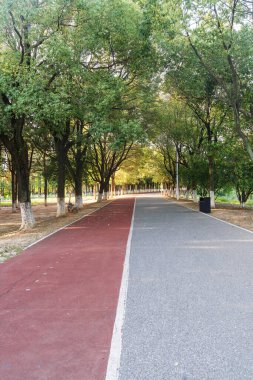 Yeni patika ve güzel ağaçlar parkta koşmak, yürümek ve bisiklete binmek için iz sürüyor. 