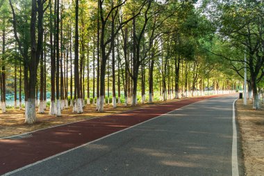 Yeni patika ve güzel ağaçlar parkta koşmak, yürümek ve bisiklete binmek için iz sürüyor. 