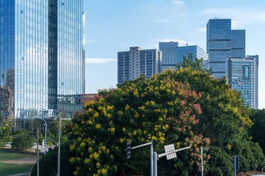 Şehrin gündüz görüntüsü ufuk çizgisi