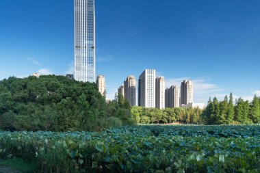 Çin 'deki Lakeside modern ofis binası