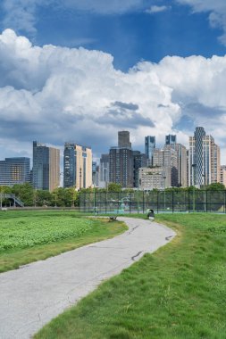 Şehir merkezi ve modern şehrin parkındaki çiçek tarlası.