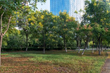 Şangay 'da modern bina geçmişi olan şehir parkı.