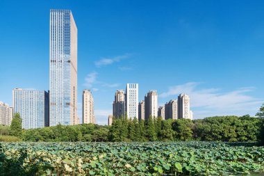 Çin 'deki Lakeside modern ofis binası