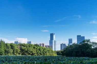 Çin 'deki Lakeside modern ofis binası