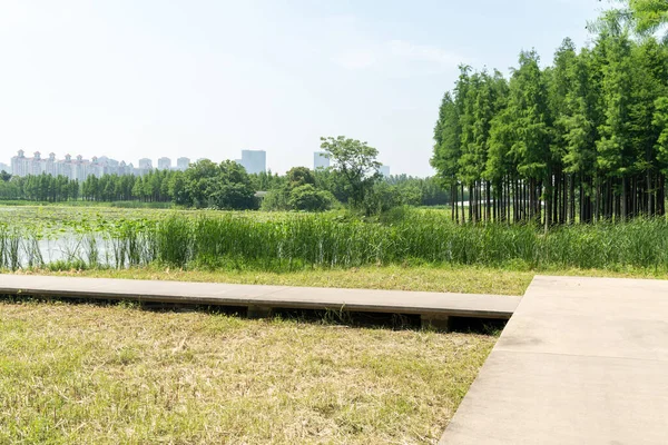 Bahar Parkı ve modern şehir