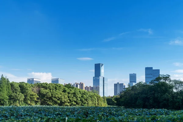 Çin 'deki Lakeside modern ofis binası