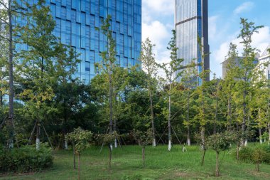 Şangay 'da modern bina geçmişi olan şehir parkı.