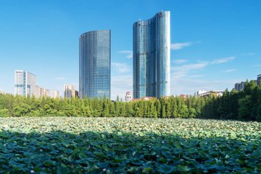 Bahar Parkı ve modern şehir