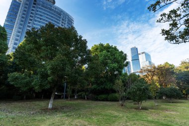 Şangay 'da modern bina geçmişi olan şehir parkı.