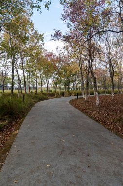 Çin 'deki Şehir Parkı yolu.