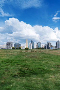 Şehir merkezi ve modern şehrin parkındaki çiçek tarlası.