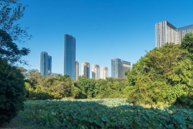 Şangay 'da modern bina geçmişi olan şehir parkı.