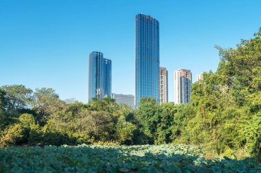 Şangay 'da modern bina geçmişi olan şehir parkı.