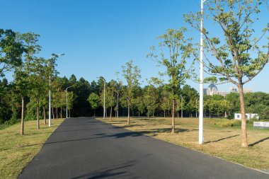 Modern şehirde yürüyüş yolu