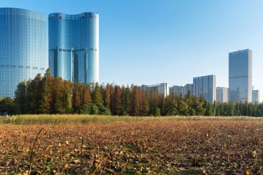 Şangay 'da modern bina geçmişi olan şehir parkı.