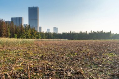 Bahar Parkı ve modern şehir