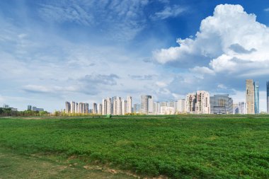 Şehir merkezi ve modern şehrin parkındaki çiçek tarlası.