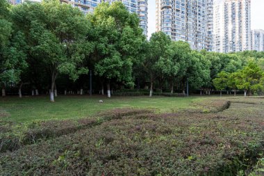 Bahar Parkı ve modern şehir