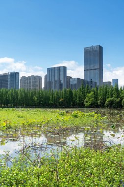Çin 'deki Lakeside modern ofis binası