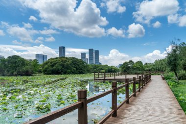 Bahar Parkı ve modern şehir