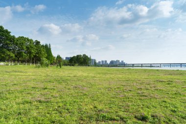Şehir merkezi ve modern şehrin parkındaki çiçek tarlası.