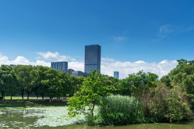 Bahar Parkı ve modern şehir