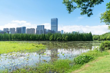 Çin 'deki Lakeside modern ofis binası
