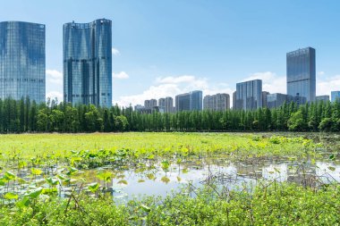 Çin 'deki Lakeside modern ofis binası