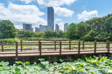 Çin 'deki Lakeside modern ofis binası