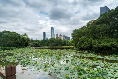 Çin 'deki Lakeside modern ofis binası