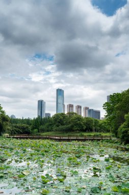 Çin 'deki Lakeside modern ofis binası