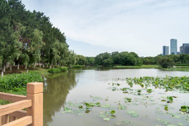 Bahar Parkı ve modern şehir
