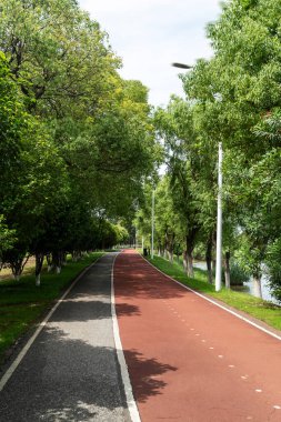 Yeni patika ve güzel ağaçlar parkta koşmak, yürümek ve bisiklete binmek için iz sürüyor. 