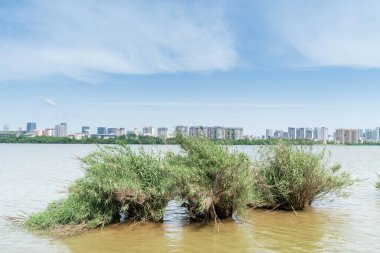 Çin 'deki Lakeside modern ofis binası
