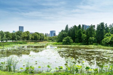Bahar Parkı ve modern şehir