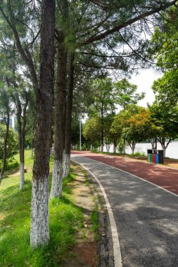 Yeni patika ve güzel ağaçlar parkta koşmak, yürümek ve bisiklete binmek için iz sürüyor. 