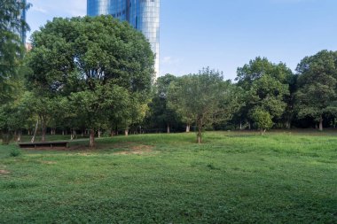 Şangay 'da modern bina geçmişi olan şehir parkı.