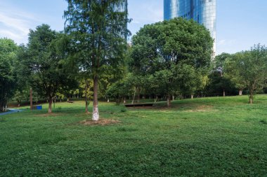 Şangay 'da modern bina geçmişi olan şehir parkı.