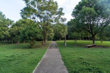 Çin 'deki Şehir Parkı yolu.