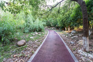 Çin 'deki Şehir Parkı yolu.