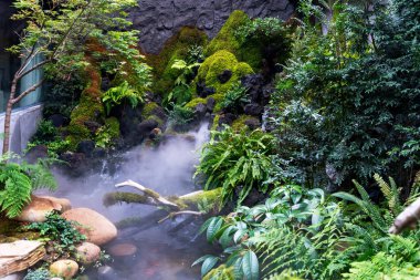 Kapalı alan tropikal bitki izleme ve sergi alanı