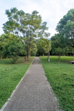 Çin 'deki Şehir Parkı yolu.