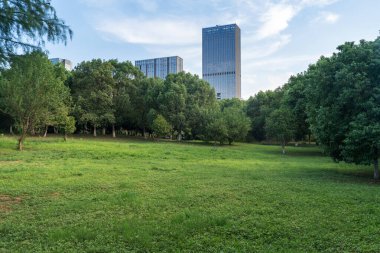 Şangay 'da modern bina geçmişi olan şehir parkı.