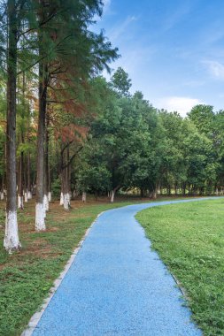 Çin 'deki Şehir Parkı yolu.