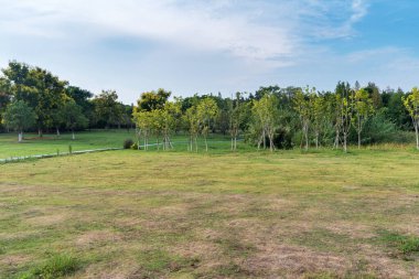 Yeşil şehir parkının güzel manzarası