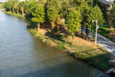 Parktaki göletin çevresi yemyeşil